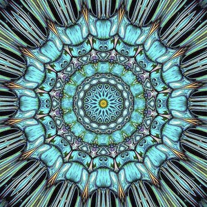 Mandala blauw/zwart Diamond painting | Eigen foto | Dieren | Kopen | Dikke dames | Action | Nederland | Steentjes | Diamant | De Diamond Painter