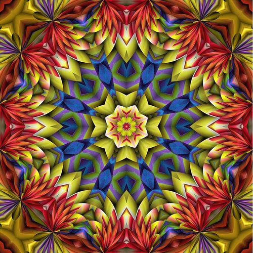 Mandala rood/geel Diamond painting | Eigen foto | Dieren | Kopen | Dikke dames | Action | Nederland | Steentjes | Diamant | De Diamond Painter