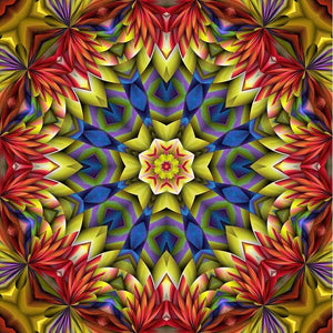 Mandala rood/geel Diamond painting | Eigen foto | Dieren | Kopen | Dikke dames | Action | Nederland | Steentjes | Diamant | De Diamond Painter