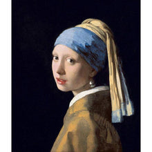 Foto laden in Gallery viewer, Meisje met de parel | Johannes Vermeer Diamond painting | Eigen foto | Dieren | Kopen | Dikke dames | Action | Nederland | Steentjes | Diamant | De Diamond Painter
