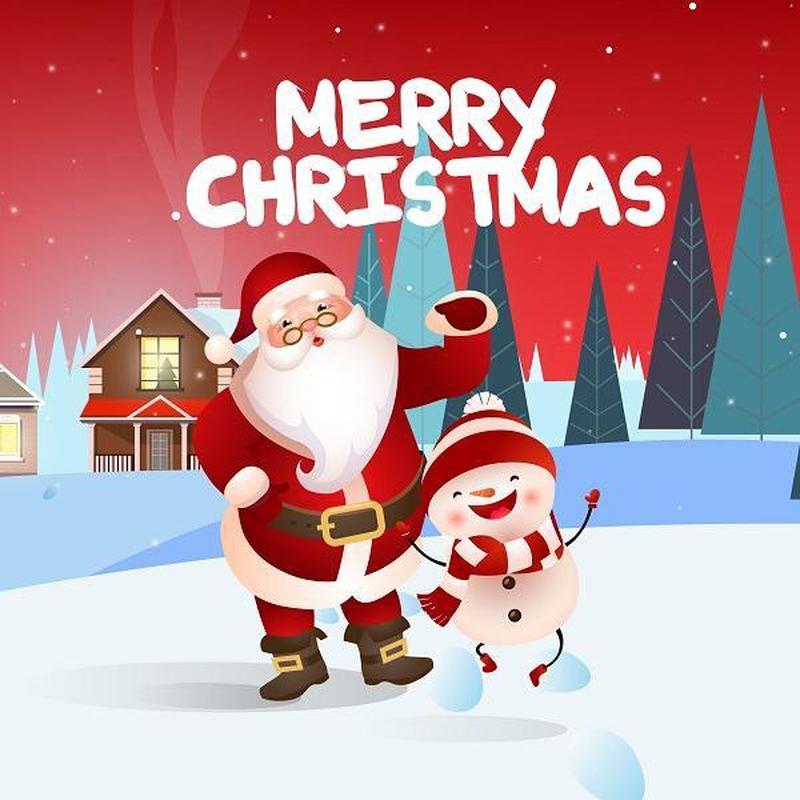 Merry Christmas 5 Diamond painting | Eigen foto | Dieren | Kopen | Dikke dames | Action | Nederland | Steentjes | Diamant | De Diamond Painter