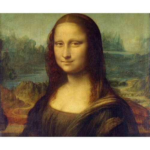 Mona Lisa | Leonardo da Vinci Diamond painting | Eigen foto | Dieren | Kopen | Dikke dames | Action | Nederland | Steentjes | Diamant | De Diamond Painter
