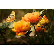 Foto laden in Gallery viewer, Oranje bloemen met vlinder Diamond painting | Eigen foto | Dieren | Kopen | Dikke dames | Action | Nederland | Steentjes | Diamant | De Diamond Painter