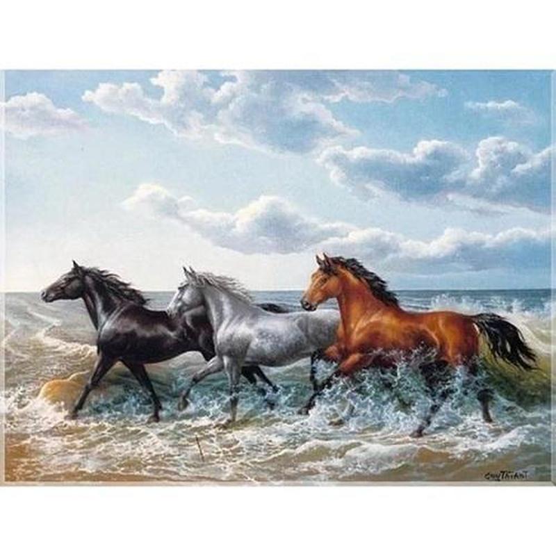 Paarden in galop Diamond painting | Eigen foto | Dieren | Kopen | Dikke dames | Action | Nederland | Steentjes | Diamant | De Diamond Painter