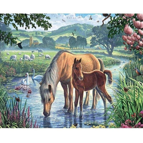 Paarden in water Diamond painting | Eigen foto | Dieren | Kopen | Dikke dames | Action | Nederland | Steentjes | Diamant | De Diamond Painter