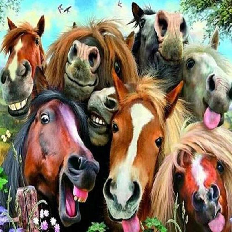 Paarden selfie Diamond painting | Eigen foto | Dieren | Kopen | Dikke dames | Action | Nederland | Steentjes | Diamant | De Diamond Painter