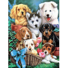 Foto laden in Gallery viewer, Ras honden Diamond painting | Eigen foto | Dieren | Kopen | Dikke dames | Action | Nederland | Steentjes | Diamant | De Diamond Painter