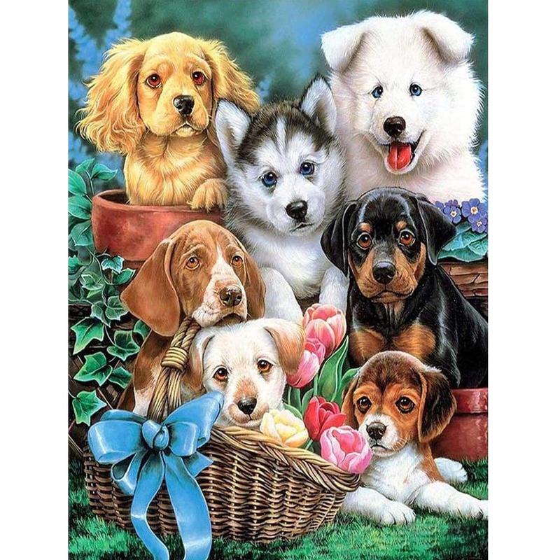 Ras honden Diamond painting | Eigen foto | Dieren | Kopen | Dikke dames | Action | Nederland | Steentjes | Diamant | De Diamond Painter