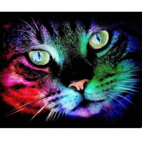 Regenboog poes Diamond painting | Eigen foto | Dieren | Kopen | Dikke dames | Action | Nederland | Steentjes | Diamant | De Diamond Painter