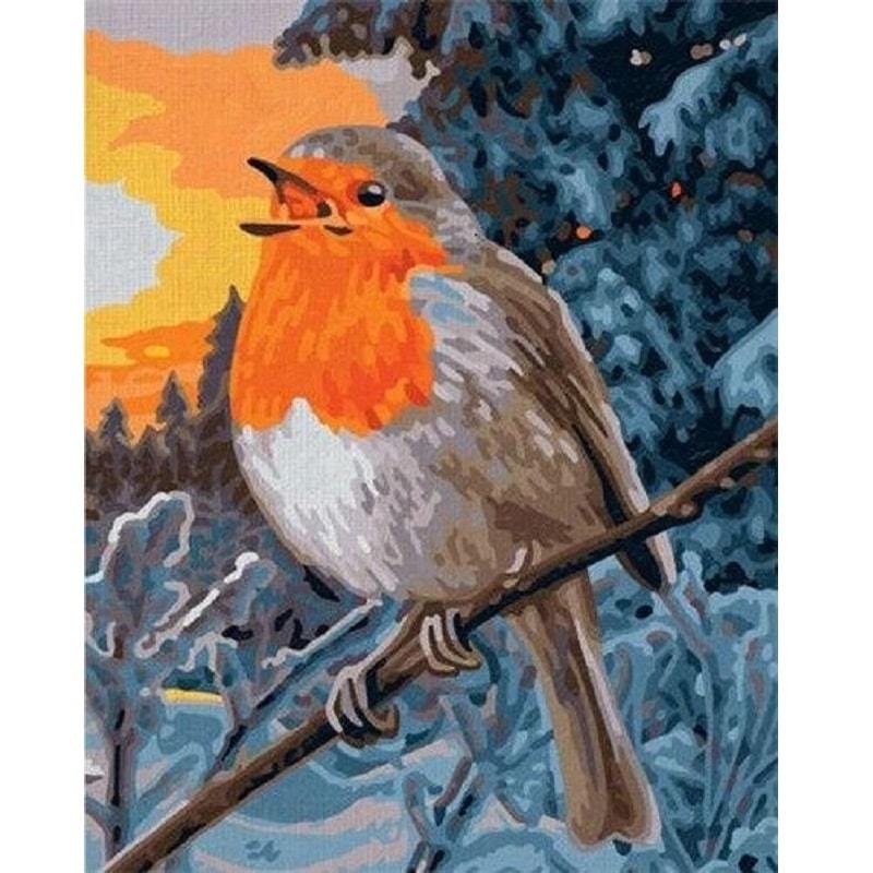 Roodborstje   Schilderen op nummer Diamond painting | Eigen foto | Dieren | Kopen | Dikke dames | Action | Nederland | Steentjes | Diamant | De Diamond Painter
