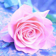 Foto laden in Gallery viewer, Roze roos Diamond painting | Eigen foto | Dieren | Kopen | Dikke dames | Action | Nederland | Steentjes | Diamant | De Diamond Painter