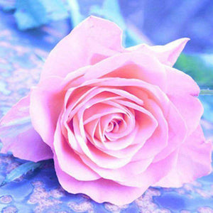 Roze roos Diamond painting | Eigen foto | Dieren | Kopen | Dikke dames | Action | Nederland | Steentjes | Diamant | De Diamond Painter