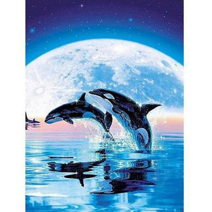 Springende orca's Diamond painting | Eigen foto | Dieren | Kopen | Dikke dames | Action | Nederland | Steentjes | Diamant | De Diamond Painter