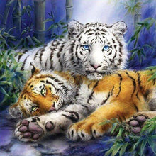 Foto laden in Gallery viewer, Tijgers Diamond painting | Eigen foto | Dieren | Kopen | Dikke dames | Action | Nederland | Steentjes | Diamant | De Diamond Painter