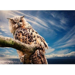 Uil op boomstam Diamond painting | Eigen foto | Dieren | Kopen | Dikke dames | Action | Nederland | Steentjes | Diamant | De Diamond Painter