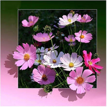Foto laden in Gallery viewer, 3D bloemen | 11 soorten