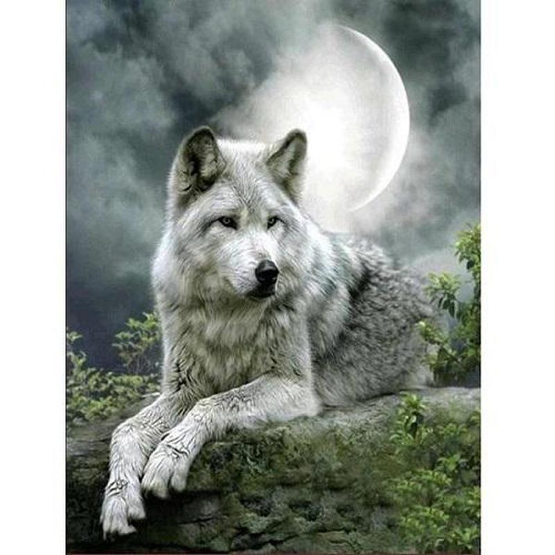 Wolf bij maanlicht Diamond painting | Eigen foto | Dieren | Kopen | Dikke dames | Action | Nederland | Steentjes | Diamant | De Diamond Painter