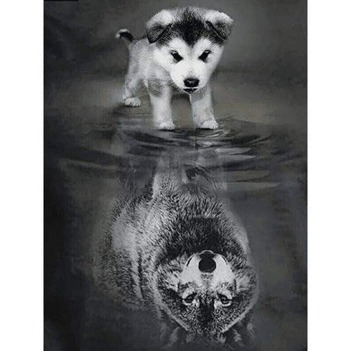 Wolf weerspiegeling Diamond painting | Eigen foto | Dieren | Kopen | Dikke dames | Action | Nederland | Steentjes | Diamant | De Diamond Painter