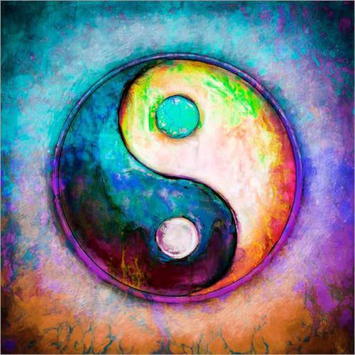Ying en Yang Diamond painting | Eigen foto | Dieren | Kopen | Dikke dames | Action | Nederland | Steentjes | Diamant | De Diamond Painter