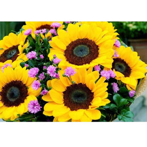 Zonnebloemen Diamond painting | Eigen foto | Dieren | Kopen | Dikke dames | Action | Nederland | Steentjes | Diamant | De Diamond Painter
