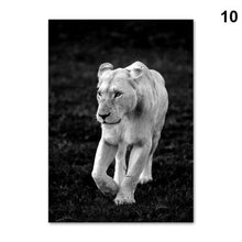 Foto laden in Gallery viewer, Zwart/Wit dieren | 12 soorten Diamond painting | Eigen foto | Dieren | Kopen | Dikke dames | Action | Nederland | Steentjes | Diamant | De Diamond Painter