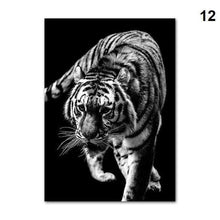Foto laden in Gallery viewer, Zwart/Wit dieren | 12 soorten Diamond painting | Eigen foto | Dieren | Kopen | Dikke dames | Action | Nederland | Steentjes | Diamant | De Diamond Painter