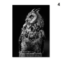 Foto laden in Gallery viewer, Zwart/Wit dieren | 12 soorten Diamond painting | Eigen foto | Dieren | Kopen | Dikke dames | Action | Nederland | Steentjes | Diamant | De Diamond Painter
