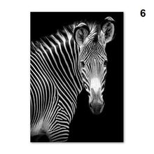 Foto laden in Gallery viewer, Zwart/Wit dieren | 12 soorten Diamond painting | Eigen foto | Dieren | Kopen | Dikke dames | Action | Nederland | Steentjes | Diamant | De Diamond Painter