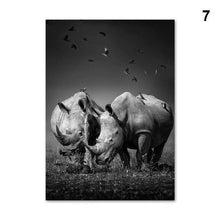 Foto laden in Gallery viewer, Zwart/Wit dieren | 12 soorten Diamond painting | Eigen foto | Dieren | Kopen | Dikke dames | Action | Nederland | Steentjes | Diamant | De Diamond Painter
