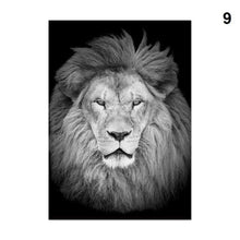 Foto laden in Gallery viewer, Zwart/Wit dieren | 12 soorten Diamond painting | Eigen foto | Dieren | Kopen | Dikke dames | Action | Nederland | Steentjes | Diamant | De Diamond Painter